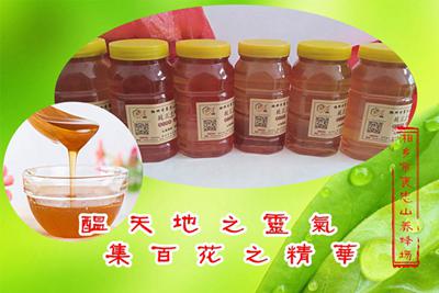 冬蜜（茶花蜜）